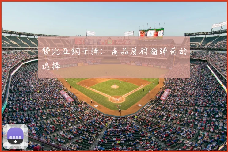 赞比亚铜子弹:高品质狩猎弹药的选择